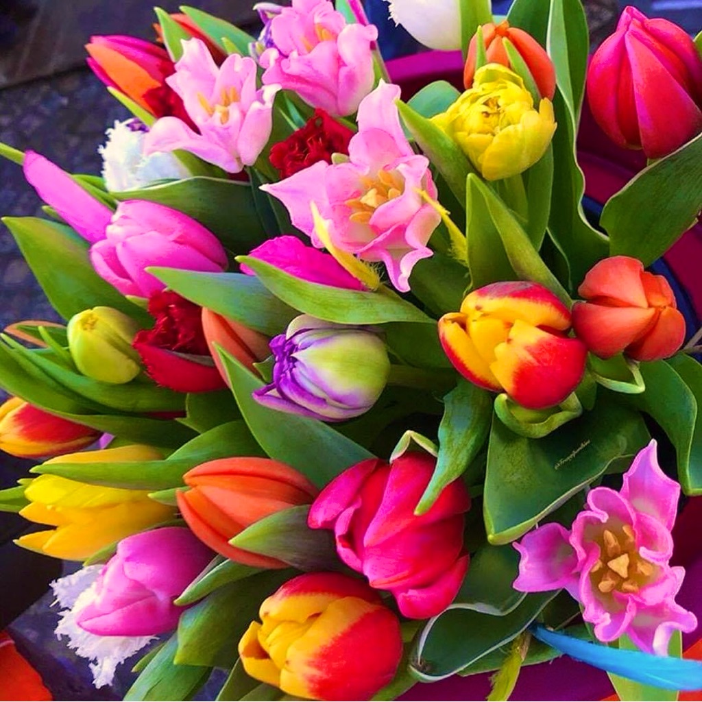Mothers Day Specials